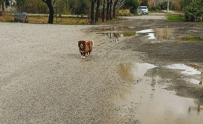 Dalyan – 12th & 13th&nbsp;January