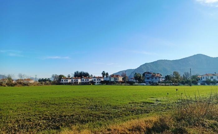 Dalyan – 24th&nbsp;January