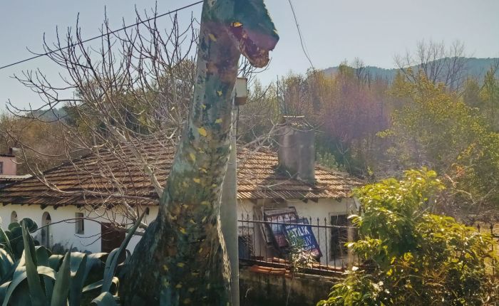 Dalyan – 9th&nbsp;February