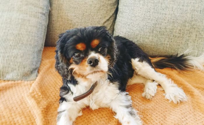 Dalyan – 12th&nbsp;February