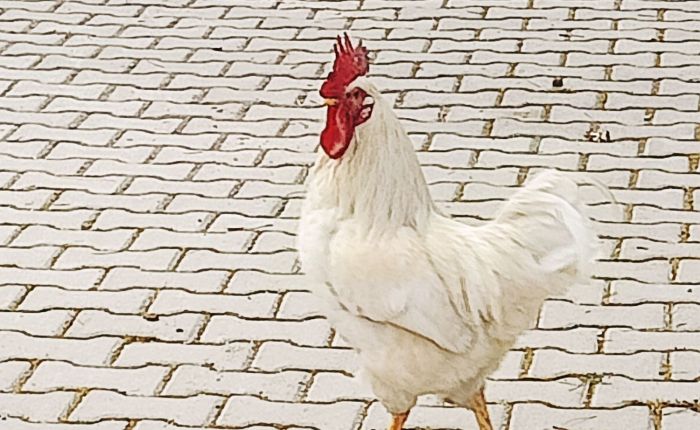 Dalyan – 27th&nbsp;February