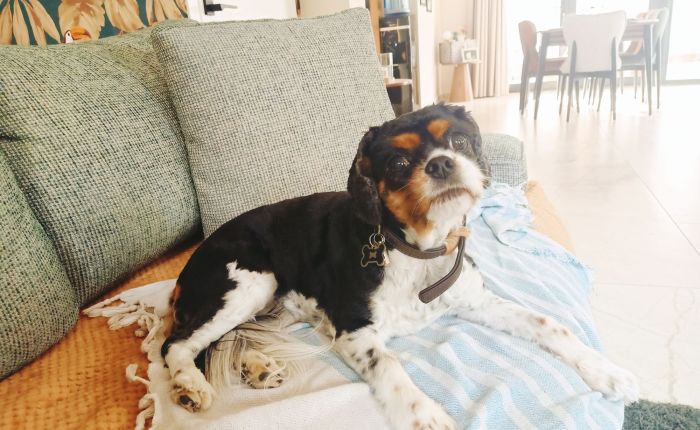 Dalyan – 2nd & 3rd&nbsp;March