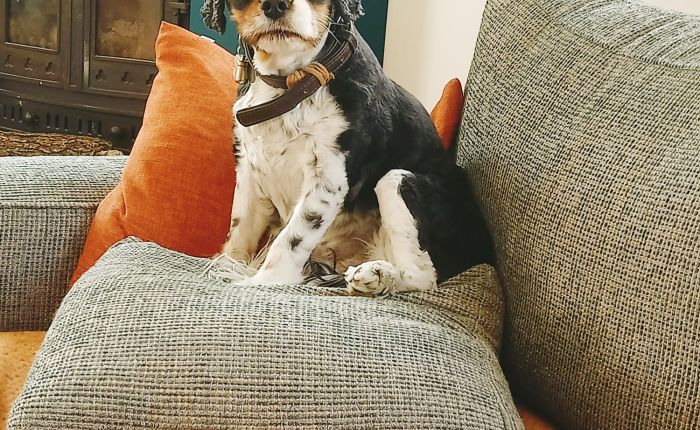 Dalyan – 4th & 5th&nbsp;March