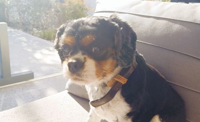 Dalyan – 18th&nbsp;March