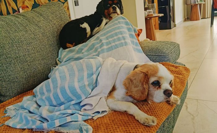 Dalyan – 20th&nbsp;March