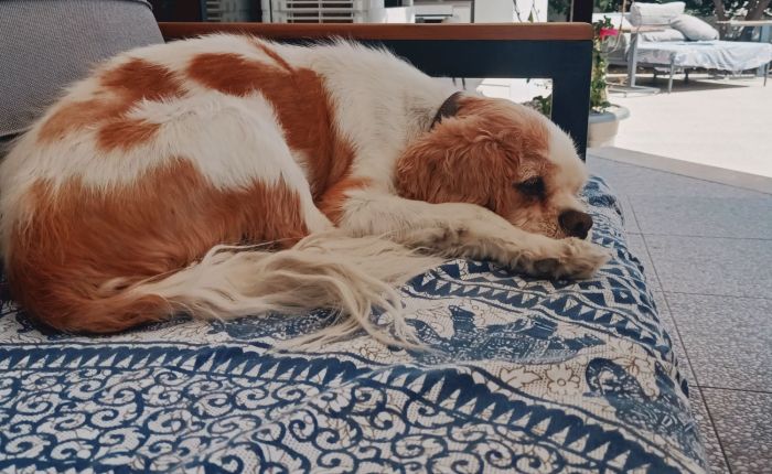 Dalyan – 16th&nbsp;June