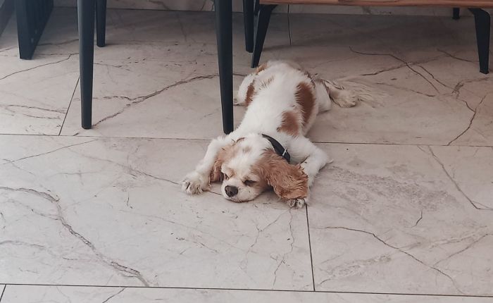 Dalyan – 7th & 8th&nbsp;July