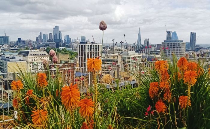 London – 15th&nbsp;July