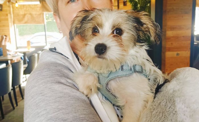 Sheffield – 4th&nbsp;August