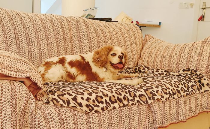 Dalyan – 9th & 10th&nbsp;September