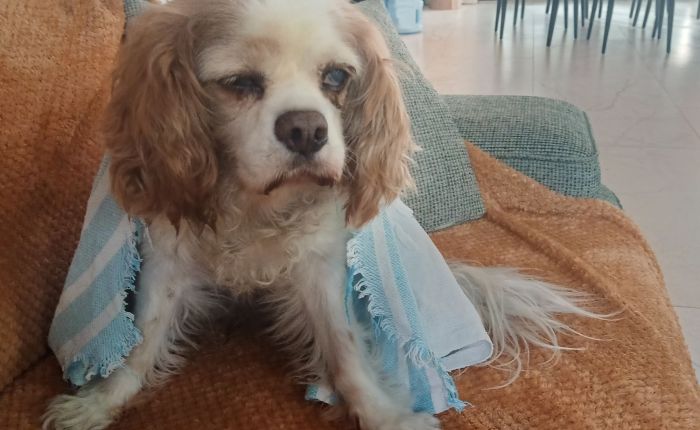 Dalyan – 8th&nbsp;October