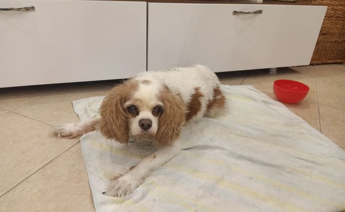 Dalyan – 24th&nbsp;October