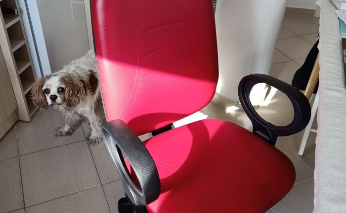 Dalyan – 6th November