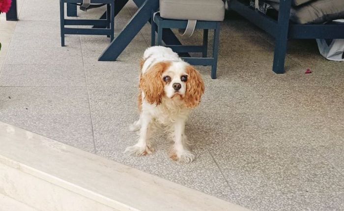 Dalyan – 15th & 16th&nbsp;December