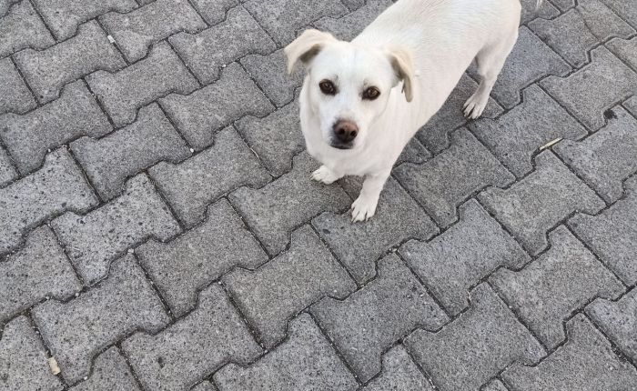 Dalyan – 25th & 26th&nbsp;November