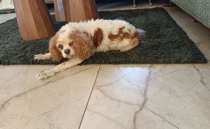 Dalyan – 8th to 10th&nbsp;December