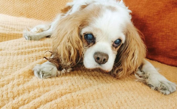 Dalyan – 22nd & 23rd&nbsp;January