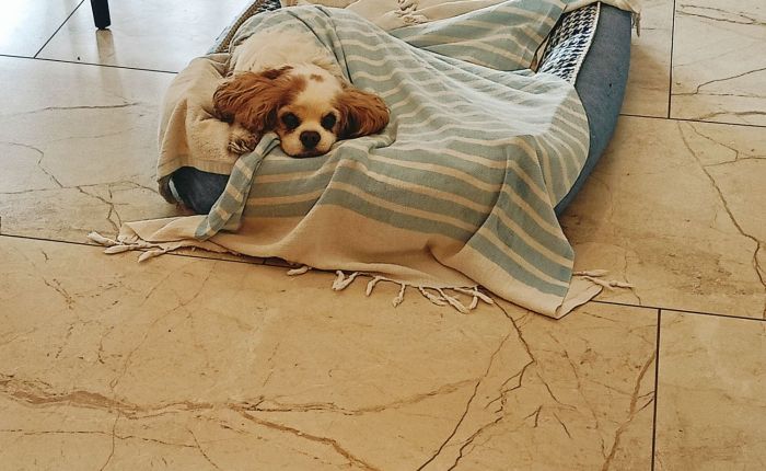 Dalyan – 2nd&nbsp;February