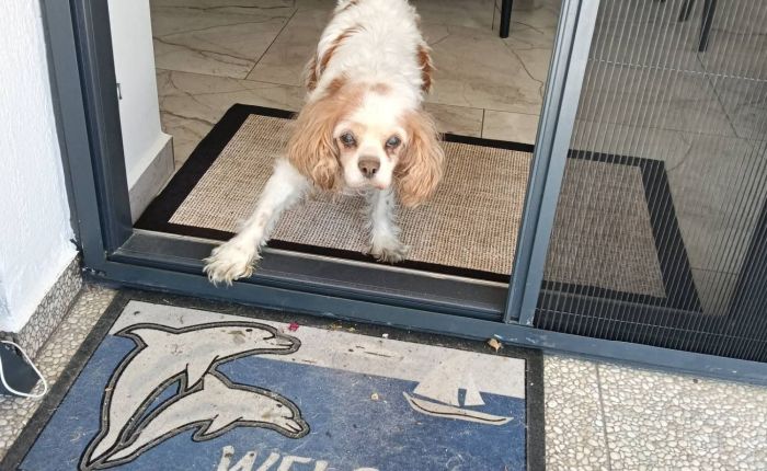 Dalyan – 22nd&nbsp;March