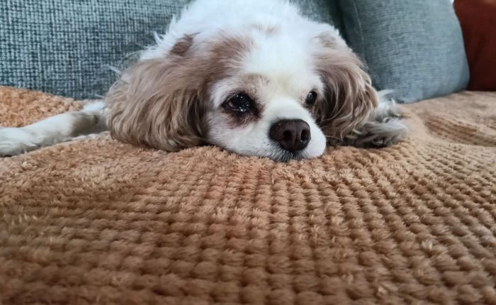 Dalyan – 23rd & 24th&nbsp;March