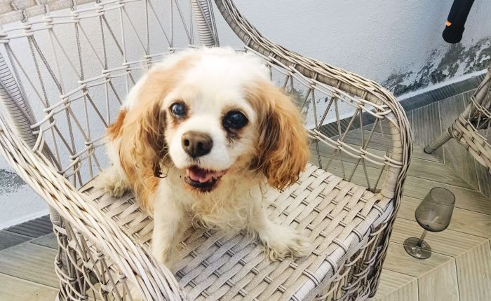 Dalyan – 26th&nbsp;March