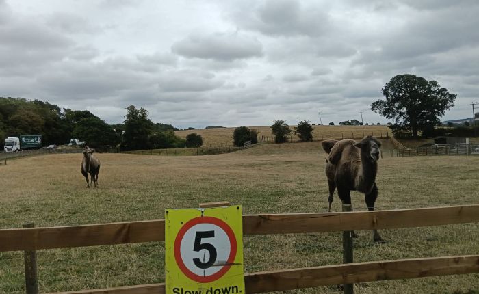 Sheffield to Scotland – 17th August